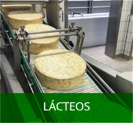 bandas transportadoras lcteos