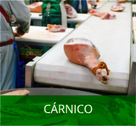 Bandas sector crnico